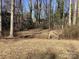Lush backyard with mature trees, a small foot bridge, and natural foliage for a serene outdoor experience at 314 Little St, Lincolnton, NC 28092