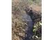 A clear creek flowing through a natural setting, with sunlight reflecting on the water's surface at 314 Little St, Lincolnton, NC 28092