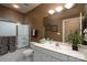 Bathroom features a tub and shower combo with decorative shower curtain and a white vanity with decorative accents at 8568 Windsor Ridge Dr, Charlotte, NC 28277