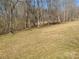 Sparse grasses on property line, and a view of the forest beyond at 1638 Bess Town Rd, Bessemer City, NC 28016