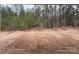 An unfinished backyard with sparse grass and a line of trees in the background at 2036 Skyhawk Dr, York, SC 29745