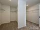 Large walk-in closet with ample shelving and neutral carpeting for organized storage at 2211 Camber Dr # Cwo0103, Gastonia, NC 28054