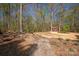 View of the backyard showcasing a small shed, seating area, and lush landscaping at 225 Riverton Rd, Weddington, NC 28104