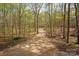 View of the home's long gravel driveway leading through a mature forest at 225 Riverton Rd, Weddington, NC 28104