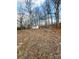 View of the backyard shed from across a large yard at 32884 Old Salisbury Rd, Albemarle, NC 28001