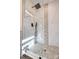 Stunning walk-in shower featuring elegant tile design and modern fixtures at 1522 Wickham Ln, Charlotte, NC 28208