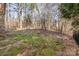 Large lot with mature trees, offering a private outdoor space at 125 Cherokee Dr, Mooresville, NC 28117