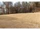 Expansive backyard featuring a gently sloping lawn and mature trees at the property line at 3156 Pinehills Way, Mount Holly, NC 28120