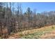 View from the grassy backyard to the bordering forest at 133 Batten Ridge Dr, Statesville, NC 28677