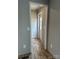 Hallway view towards the back entrance, showcasing modern flooring and neutral paint at 252 Fairchase Cir, Stony Point, NC 28678