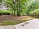 Spacious backyard features a wooded fence line and mature trees at 7713 Dunoon Ln, Charlotte, NC 28269