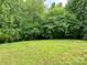 Backyard featuring an abundance of lush trees at 11339 Fox Hill Dr, Charlotte, NC 28269