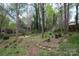 Picturesque backyard with lush trees, creating a peaceful retreat with natural surroundings at 7007 Chapparall Ln, Charlotte, NC 28215