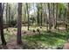 Expansive backyard with mature trees, offering privacy and a tranquil outdoor space at 7007 Chapparall Ln, Charlotte, NC 28215