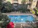 Outdoor pool area, surrounded by lush greenery and lounge chairs, creating a relaxing retreat at 718 W Trade St # 302, Charlotte, NC 28202