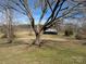 Expansive backyard featuring a large tree and views of a charming barn-like structure at 167 Patterson Rd, Kings Mountain, NC 28086