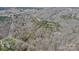 Aerial view of homes nestled in a forest with sparse winter foliage at 369 Falcon Dr, Concord, NC 28025