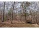 Leaf-covered wooded backyard offers a peaceful retreat with mature trees and privacy at 369 Falcon Dr, Concord, NC 28025
