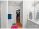 Bright bathroom featuring a tub, a closet and a sink with white cabinetry at 10816 Pointer Ridge Dr, Charlotte, NC 28214