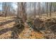 Small creek running through a wooded area at 246 Jerry Crump Rd, Lincolnton, NC 28092