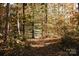 A scenic wooded path covered in fall leaves, creating a tranquil and inviting nature scene at 3020 Finchborough Ct # 230, Charlotte, NC 28269