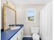 Bathroom featuring a blue vanity, large mirror, toilet, and shower with curtain at 2927 Forest Hills Cir, Rock Hill, SC 29732