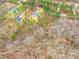An aerial view of the home and property showcases a natural, wooded landscape and quiet neighborhood at 5147 Star Magnolia Ct, Clover, SC 29710