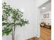 Welcoming hallway featuring a decorative plant and a glimpse into a sunlit living space at 5147 Star Magnolia Ct, Clover, SC 29710