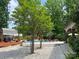 Stunning pool area with a spacious patio, complete with trees, lounge chairs, and elegant landscaping at 8104 Stem Ct, Charlotte, NC 28227