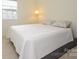 Bedroom with cozy carpet and a lamp beside a window with a bed at 3170 Heathstead Pl, Charlotte, NC 28210