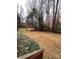View of the backyard showcasing a large grassy area and natural landscaping at 4922 Rivergreen Ln, Charlotte, NC 28227