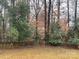 The backyard is surrounded by privacy fence and mature trees at 4922 Rivergreen Ln, Charlotte, NC 28227