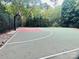 Fenced community basketball court with trees surrounding the area at 12702 Overlook Mountain Dr, Charlotte, NC 28216