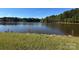 Lakeside view features a grassy shoreline at 13828 Lake Bluff Dr, Matthews, NC 28105
