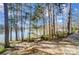 Scenic lake view featuring a private dock and mature trees, accessible by a stone-paved path at 2139 Peninsula Dr, Clover, SC 29710