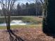 Scenic pond with a fountain and a black fence outlining the yard at 1220 Avalon Pl, Matthews, NC 28104