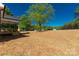 Expansive backyard with lush green trees, ideal for outdoor activities and relaxation at 1311 Mack Dr, McConnells, SC 29726