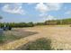 Large backyard featuring green spaces and bordering evergreens at 2027 Gloucester St, Matthews, NC 28104
