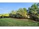 Grassy backyard featuring healthy lawn, mature trees, and natural privacy screen at 6112 Canyon Trl, Denver, NC 28037