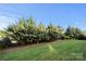Well maintained backyard with healthy lawn, mature trees, and natural privacy screen at 6112 Canyon Trl, Denver, NC 28037