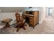 Home office nook with wooden desk, rolling chair, and a cushioned stool at 2125 Partridge Berry Ln, Rock Hill, SC 29730