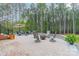 Spacious outdoor patio featuring a fire pit and seating area, perfect for entertaining at 2125 Partridge Berry Ln, Rock Hill, SC 29730