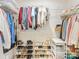 Organized walk-in closet with shelving and hanging space for efficient storage solutions at 4010 Citra Ln, Charlotte, NC 28217