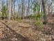 Secluded wooded area with a winding path, offering a peaceful retreat in nature at 13114 Long Common Pkwy, Huntersville, NC 28078