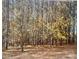 Wooded land offering natural beauty and privacy, ideal for building a custom home or enjoying outdoor activities at 14818 Hooks Rd, Matthews, NC 28105