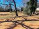 Large, partially shaded backyard featuring mature trees and open space with natural landscaping at 1610 India Hook Rd # 26, Rock Hill, SC 29732