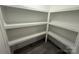 Walk-in pantry with ample shelving for organized storage at 3332 Draper Ave, Charlotte, NC 28205
