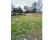 Large grassy backyard with a chain link fence around the property and mature trees at 412 Sumter St # A, Clover, SC 29710