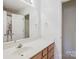 Bathroom vanity featuring a large mirror, wood cabinets, and neutral-colored countertops at 1386 Walnut Hill Dr, Rock Hill, SC 29732