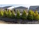 Beautiful backyard with seating area and manicured landscaping at 12609 Twilight Dr, Mint Hill, NC 28227